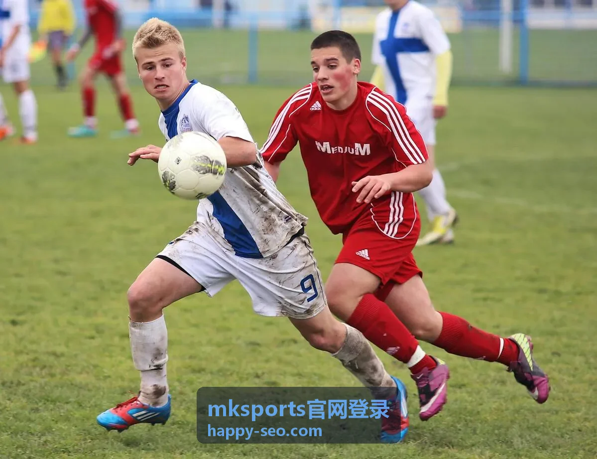mksports官网登录后的账号中心与安全设置入口示意