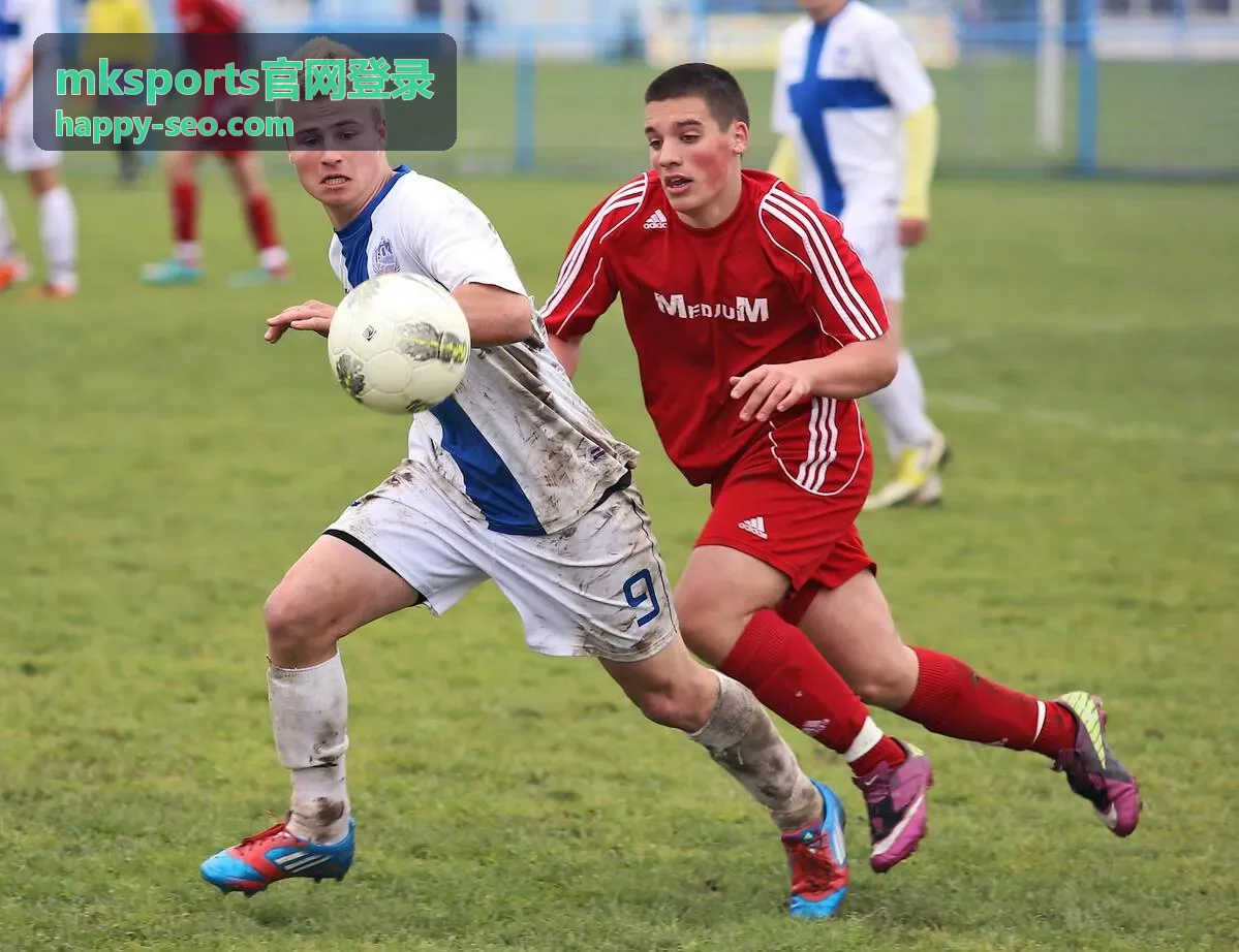 mksports官网登录资讯公告封面图