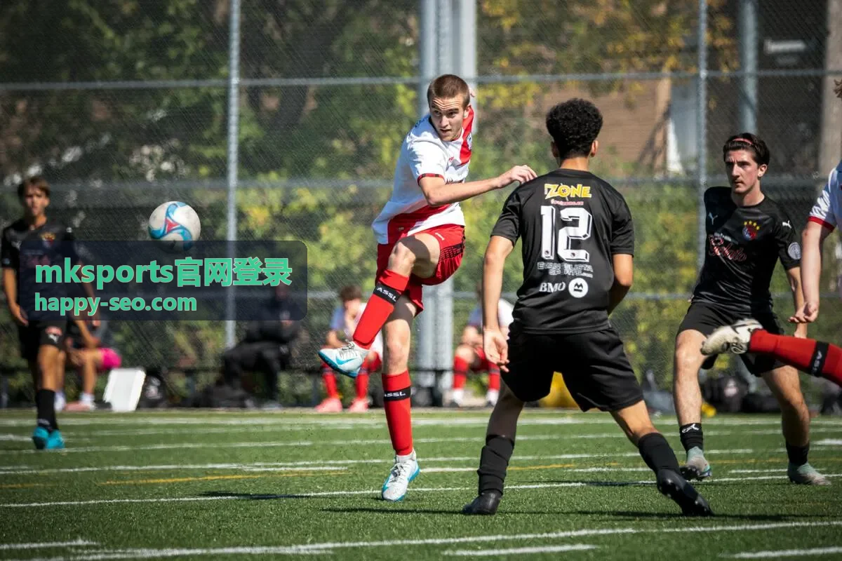 mksports官网登录用户头像