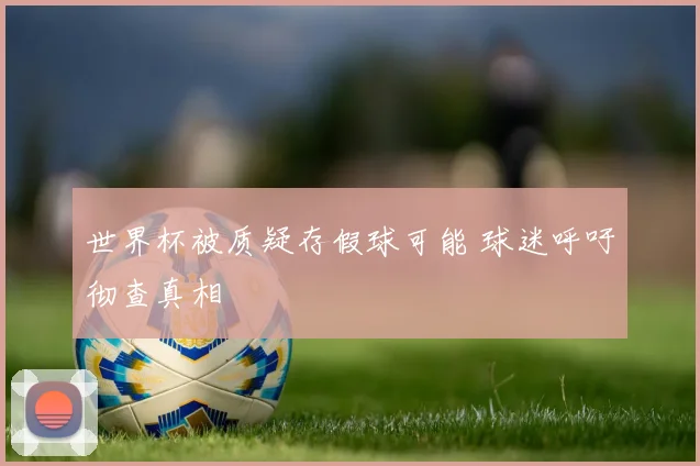 世界杯被质疑存假球可能 球迷呼吁彻查真相