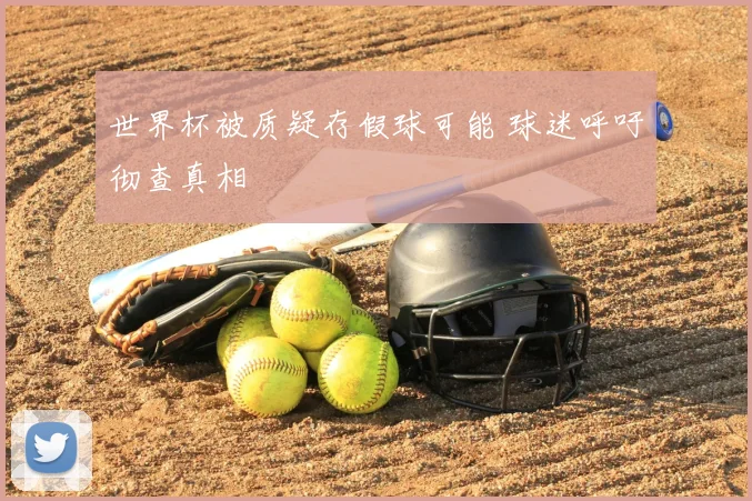 世界杯被质疑存假球可能 球迷呼吁彻查真相