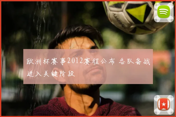欧洲杯赛事2012赛程公布 各队备战进入关键阶段