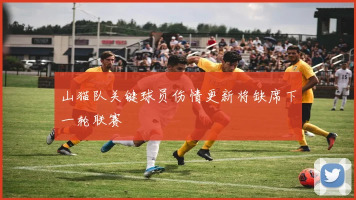 山猫队关键球员伤情更新将缺席下一轮联赛