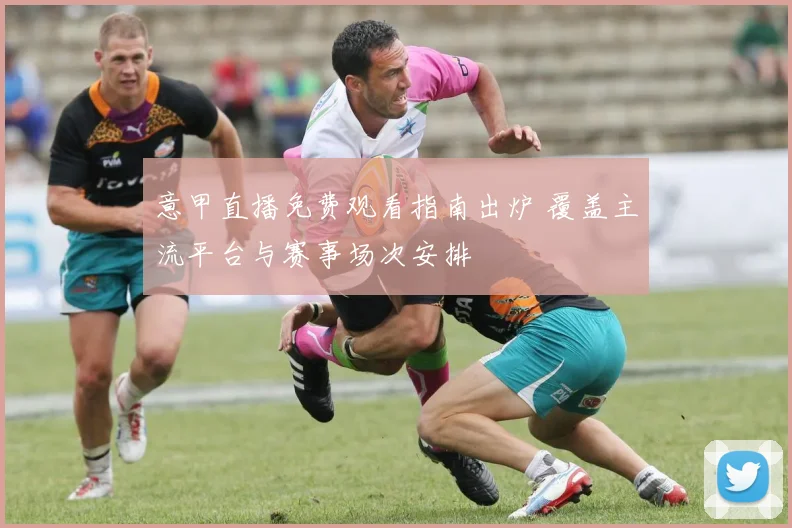 意甲直播免费观看指南出炉 覆盖主流平台与赛事场次安排